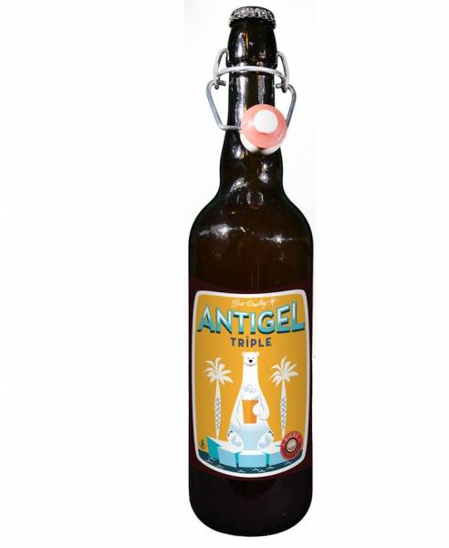 Brasserie pour bière artisanale Antige triple Hyères